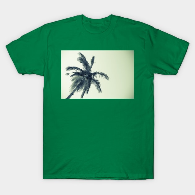 Palm tree against sky low angle point of view monochrome faded image. T-Shirt by brians101